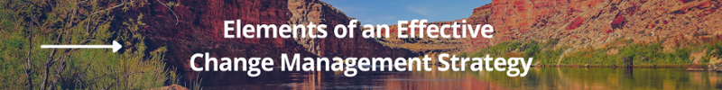 Elements of an Effective Change Management Strategy CTA