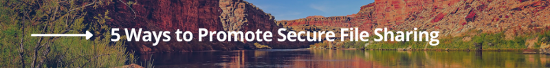 5 Ways to Promote Secure File Sharing CTA