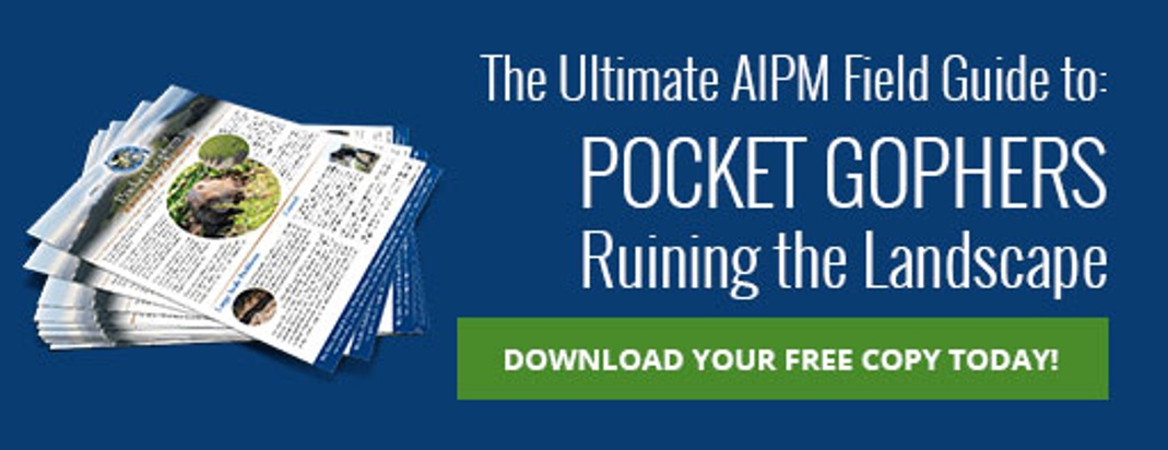 The Ultimate AIPM Field Guide to: Pocket Gophers Ruining the Landscape. Download Your Free Copy Today!