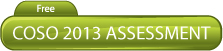 COSO 2013 Assessment