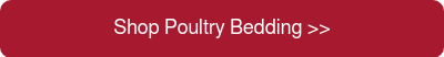 Shop Poultry Bedding >>
