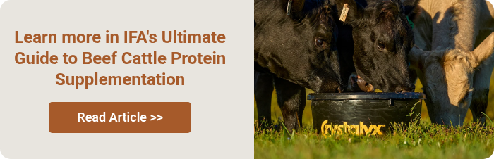 Learn more in IFA's Ultimate Guide to Beef Cattle Protein Supplementation &nbsp;
