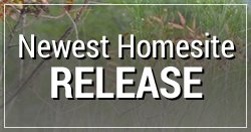 Newest Homesite Release